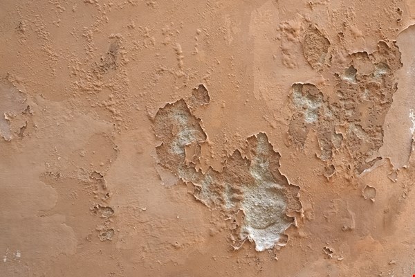 Wat te doen bij vocht in de muur? Een praktische gids